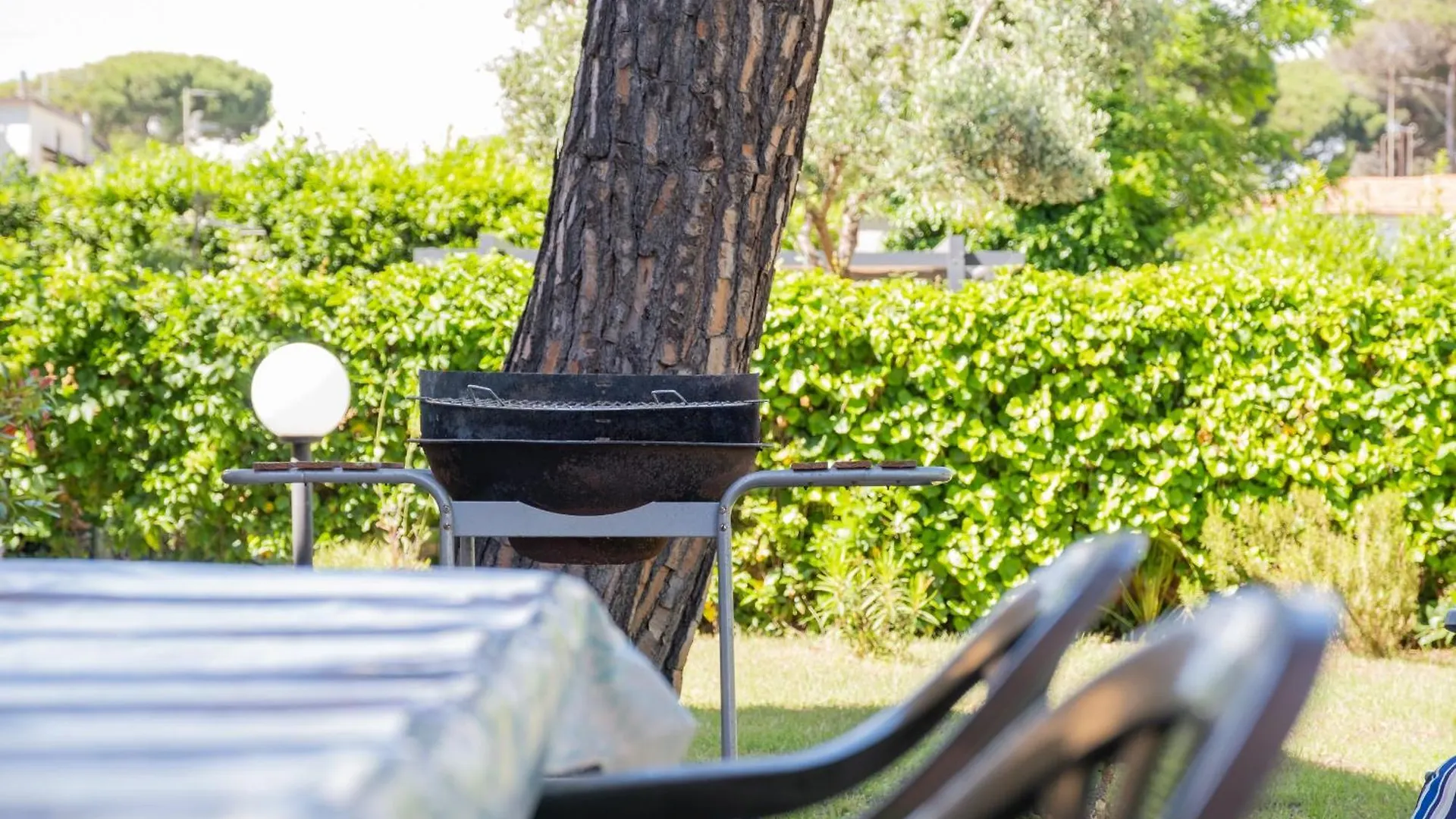 Apartment Welcomely - Tirrenia Fronte Mare